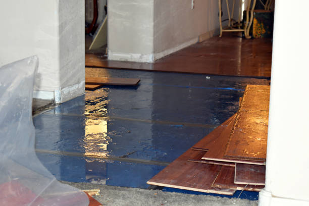 Professional Flood Damage Restoration technician working in Economy, IN